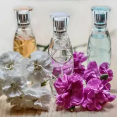 Najlepsze perfumy damskie na lato: świeże i trwałe zapachy 2023