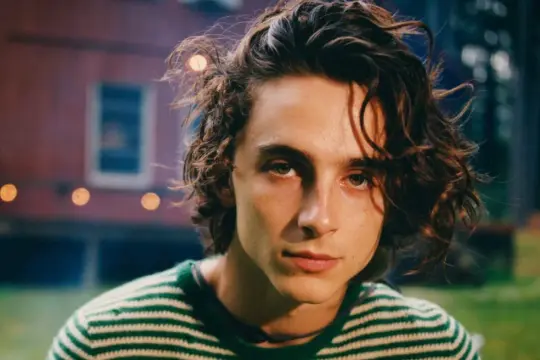 Timothée Chalamet w zielono-białym swetrze, z burzą włosów, jakby prosto z jednego z jego filmów.